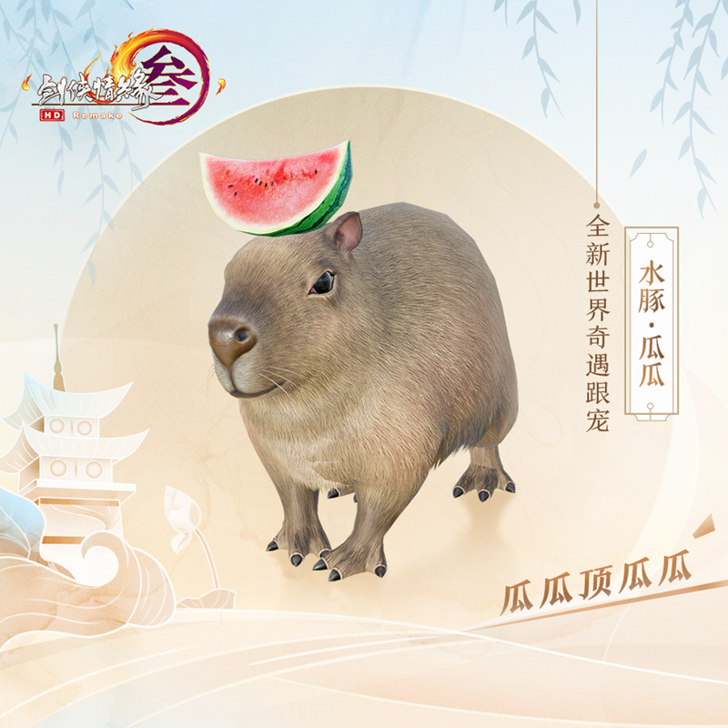 梦想国际官方网站图片