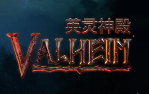梦想国际官方网站图片