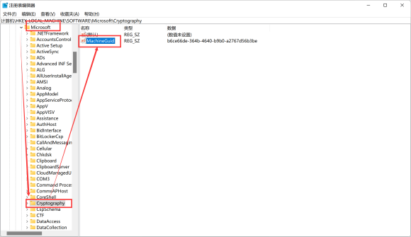 梦想国际官方网站图片