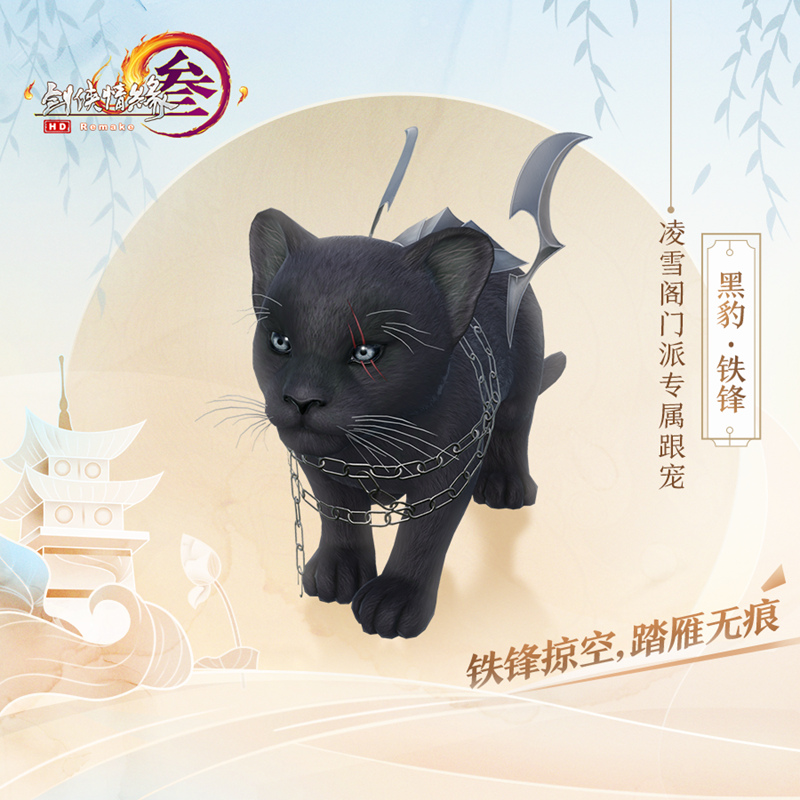 梦想国际官方网站图片