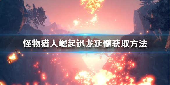 梦想国际官方网站图片