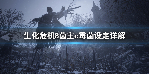 梦想国际官方网站图片