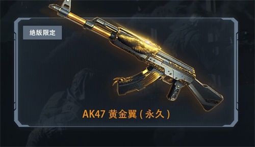 梦想国际官方网站图片