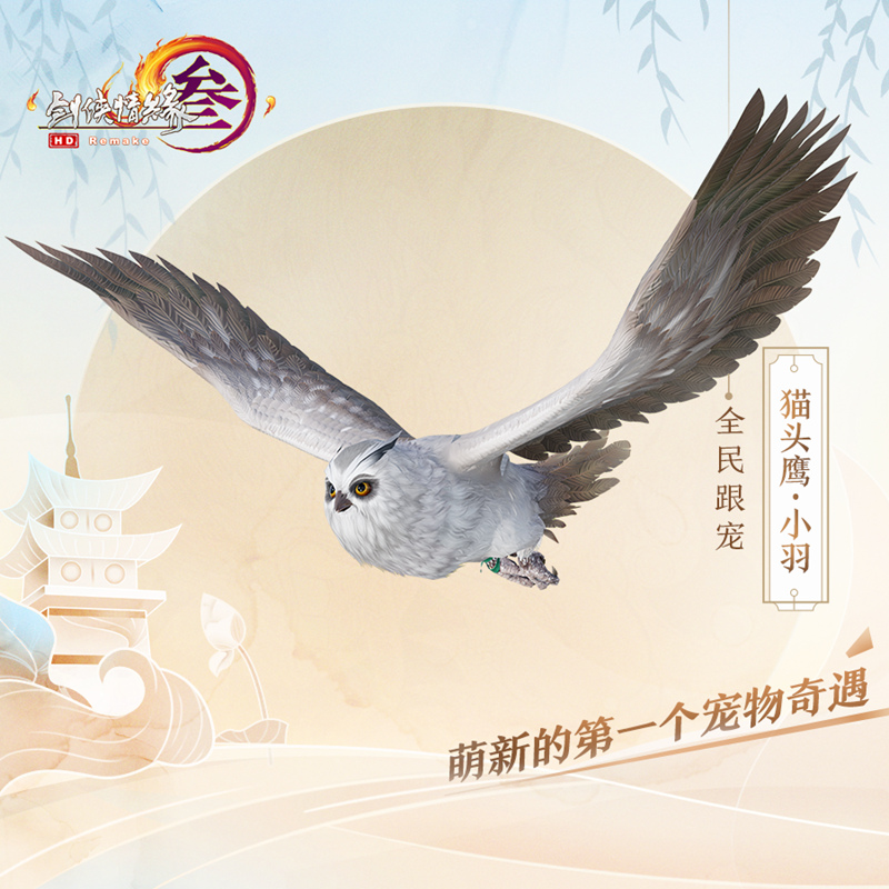 梦想国际官方网站图片