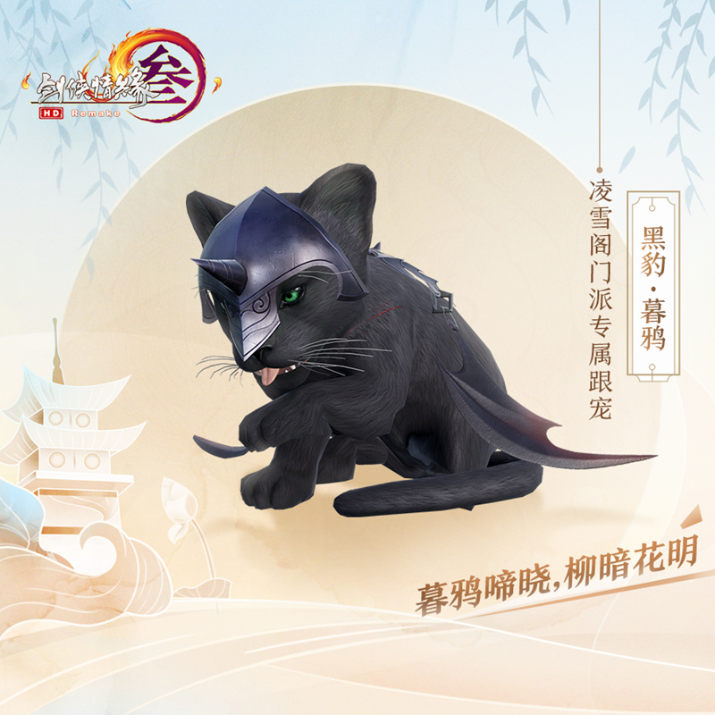 梦想国际官方网站图片