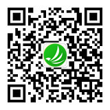 梦想国际 250b8