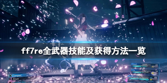 梦想国际官方网站图片