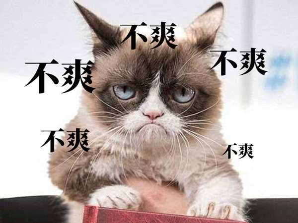 梦想国际官方网站图片