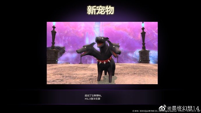 梦想国际官方网站图片