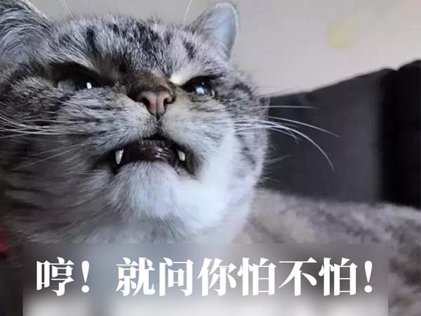 梦想国际官方网站图片