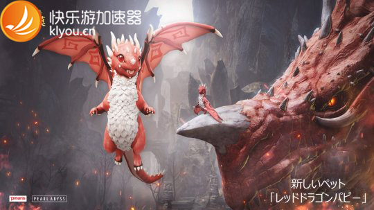 梦想国际官方网站图片