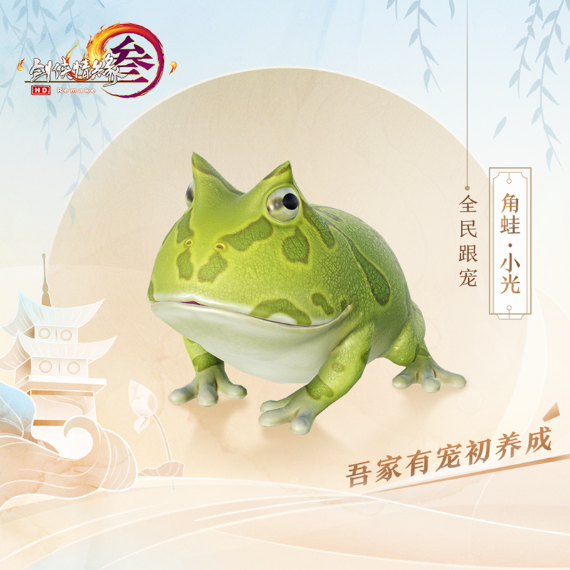 梦想国际官方网站图片